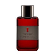 Antonio Banderas The Secret Temptation Toaletná voda 100ml