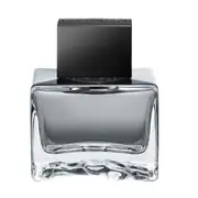Antonio Banderas Seduction in Black For Men Toaletná voda 50ml