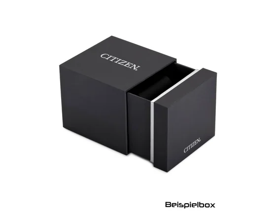 citizen_box_437.jpg