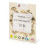 Miniatúra: Pracie pásiky issencia na 2 prania camibaby - Issencia - Camibaby - 02