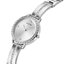 Miniatúra: 