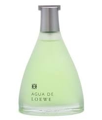 Loewe Agua de Loewe Toaletná voda - Tester, 100ml, pánske